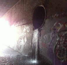 Hope Drain, Santa Barbara (P.A. Holden) Hope Drain Santa Barbara, (P.A. Holden)