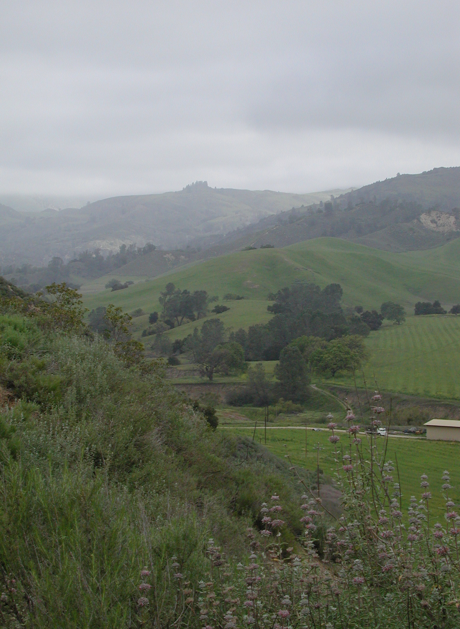 Sedgwick Natural Reserve