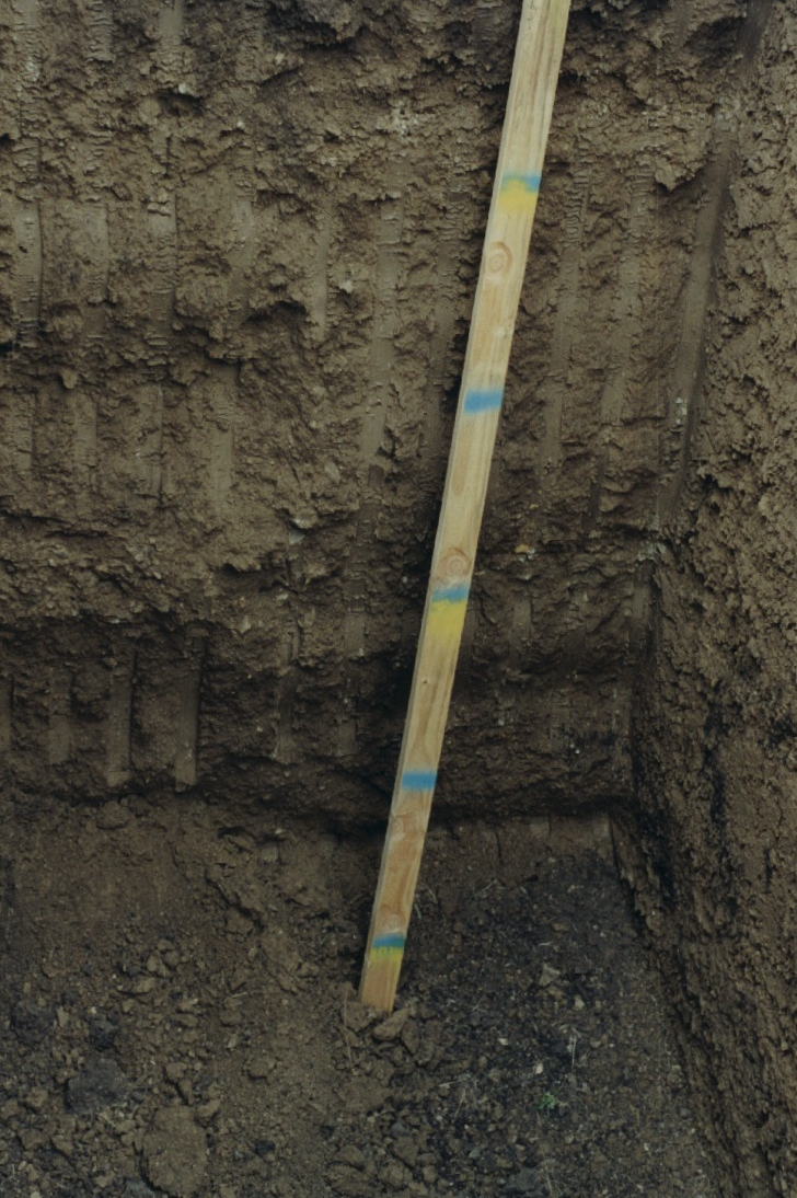 Soil horizons at Sedwick sampling site